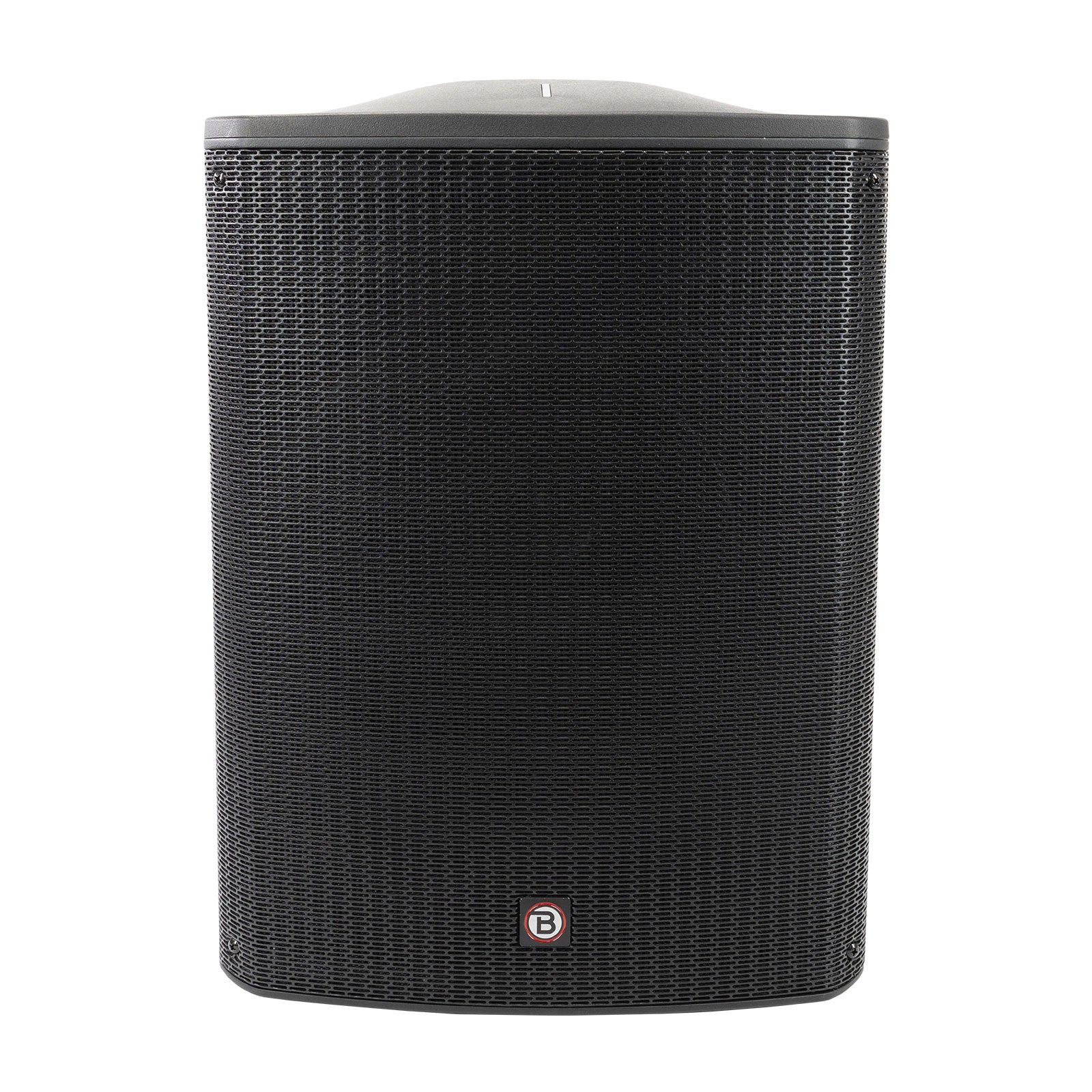 Blastking BLADE10GO - 10 inch 400 Watts Battery-Powered Portable Speaker System