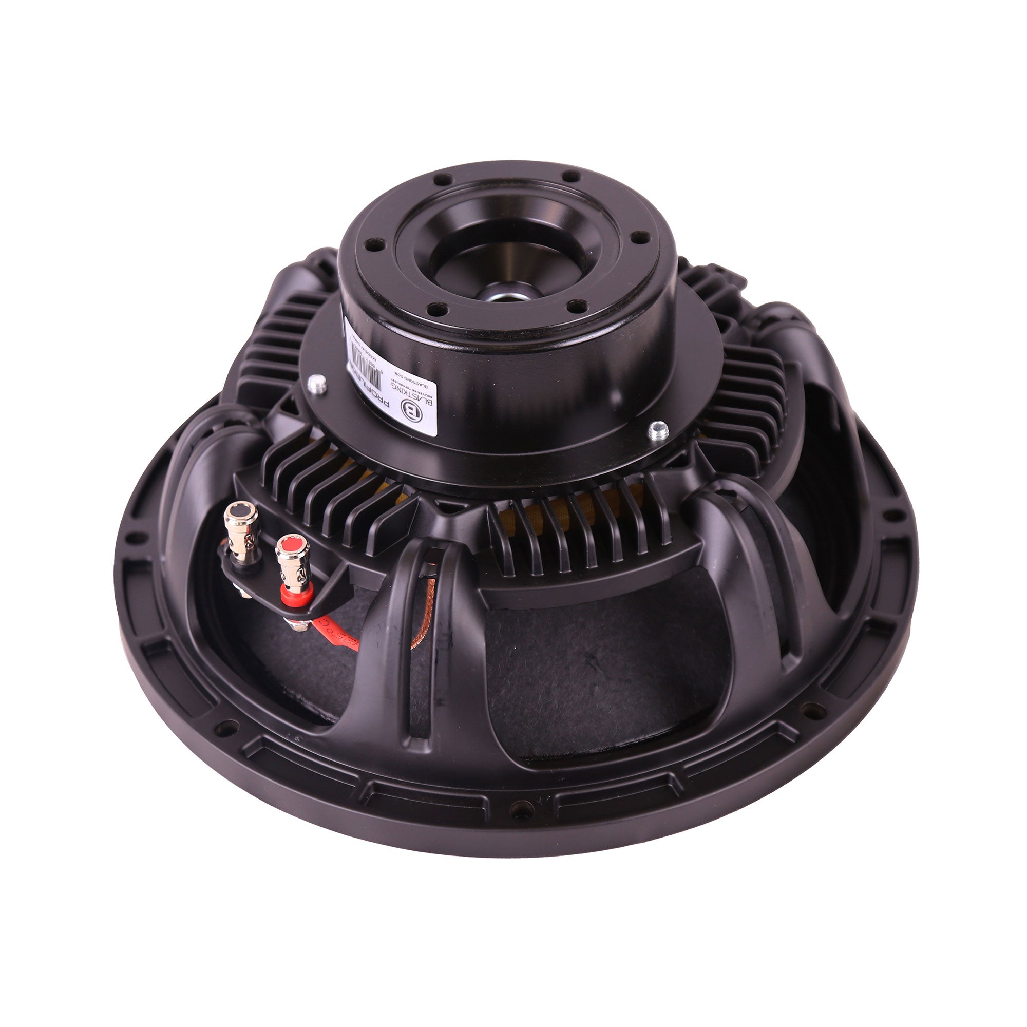 Blastking PROFILE10N 10 Inch High-Performance Neodymium Woofer 8 Ohm 900W Program