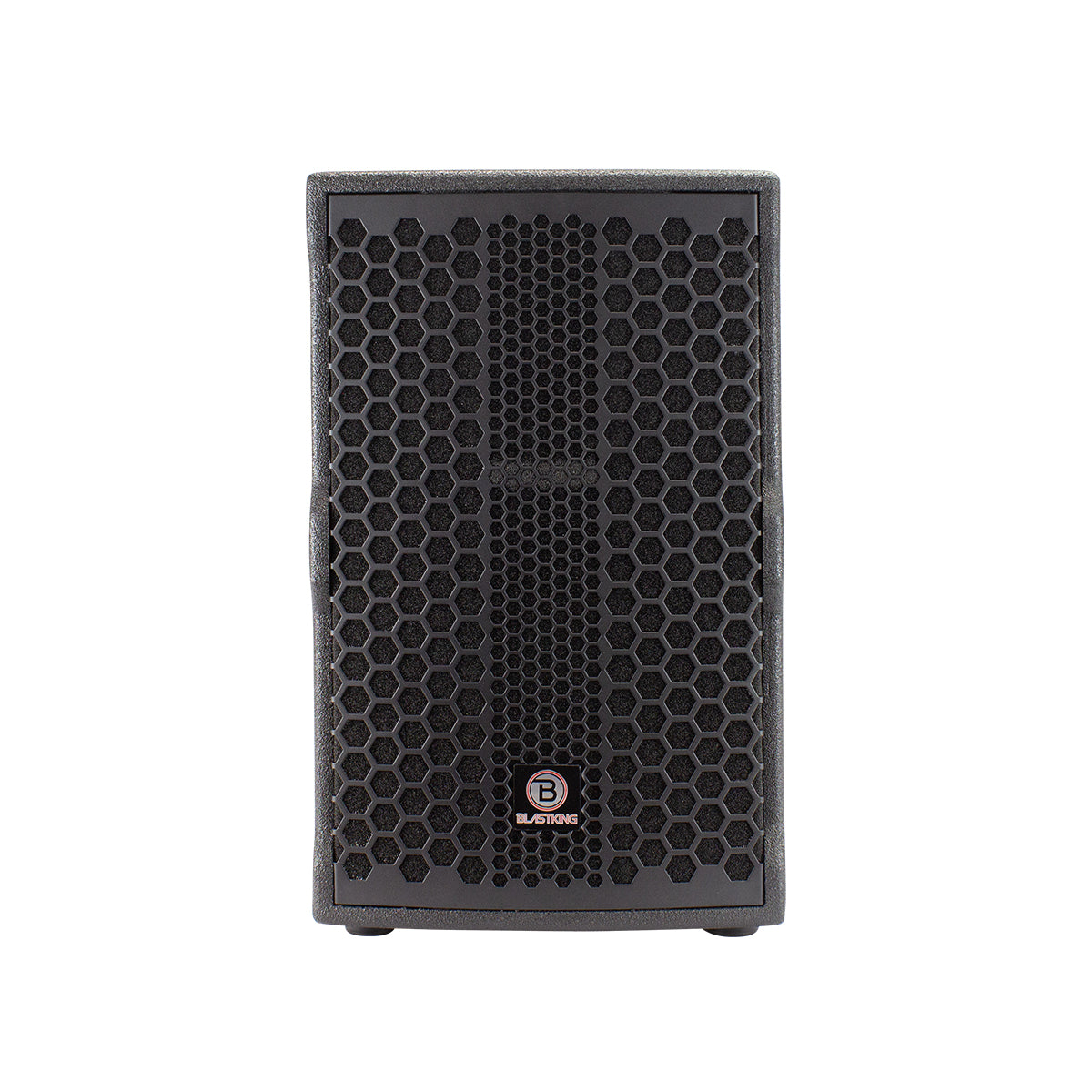 Blastking NOVO-10A 10” 2-Way Active Loudspeaker 800 Watts Class-D, TWS, DSP Presets