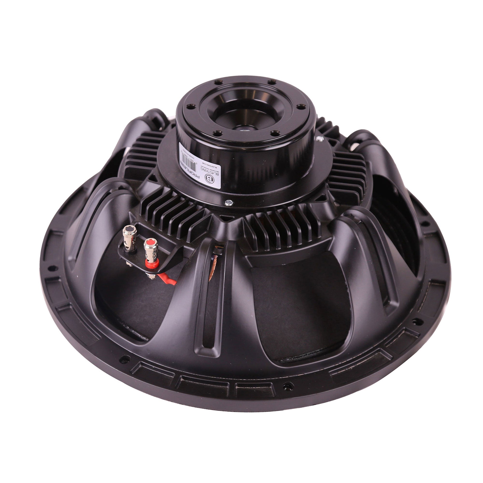 Blastking PROFILE12N 12 Inch High-Performance Neodymium Woofer 8 Ohm 1000W Program