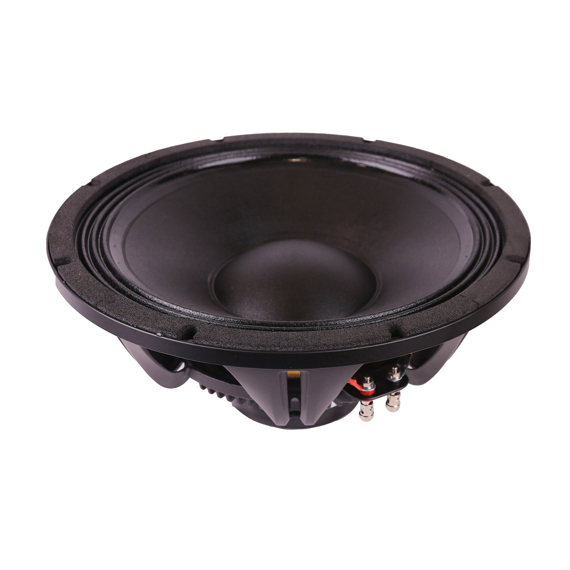 Blastking PROFILE12N 12 Inch High-Performance Neodymium Woofer 8 Ohm 1000W Program