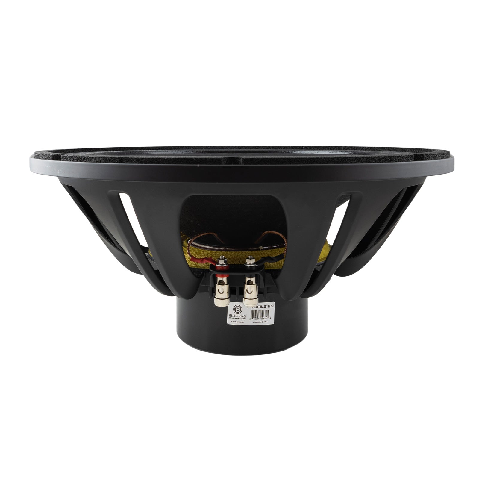 Blastking PROFILE15N 15 Inch High-Performance Neodymium Woofer 8 Ohm 1