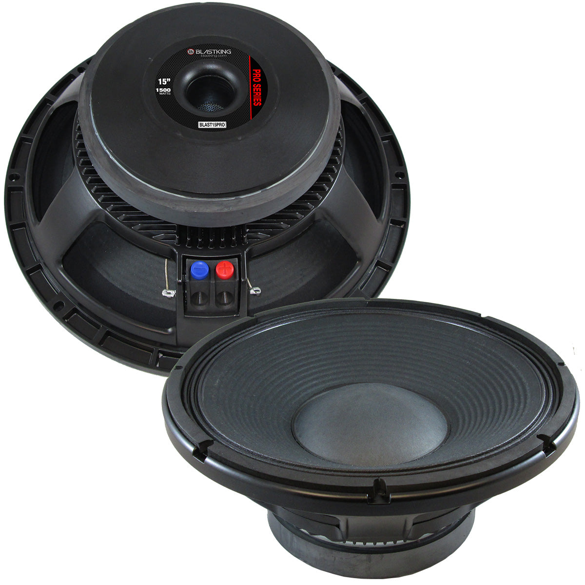 Blastking BLAST10PRO 10-inch 1000 Watt Professional Transducer Speaker